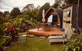 The Dome Waikino